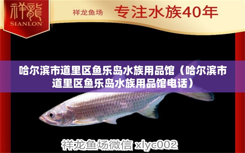 哈爾濱市道里區(qū)魚(yú)樂(lè)島水族用品館（哈爾濱市道里區(qū)魚(yú)樂(lè)島水族用品館電話）