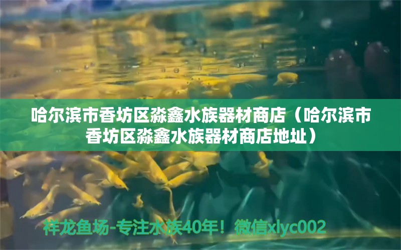 哈爾濱市香坊區(qū)淼鑫水族器材商店（哈爾濱市香坊區(qū)淼鑫水族器材商店地址） 全國水族館企業(yè)名錄