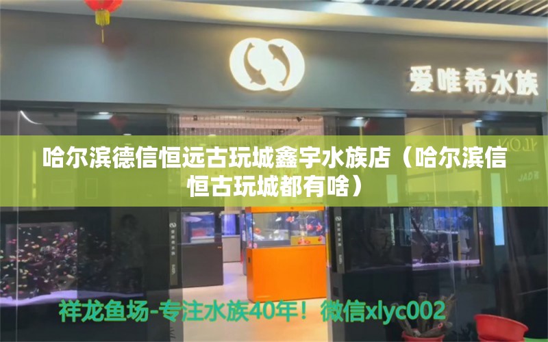 哈爾濱德信恒遠(yuǎn)古玩城鑫宇水族店（哈爾濱信恒古玩城都有啥）