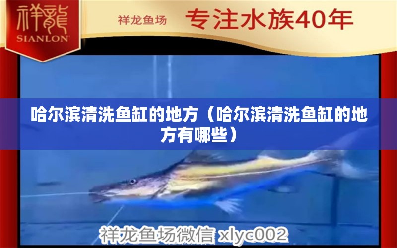 哈爾濱清洗魚(yú)缸的地方（哈爾濱清洗魚(yú)缸的地方有哪些） 廣州孟吉爾