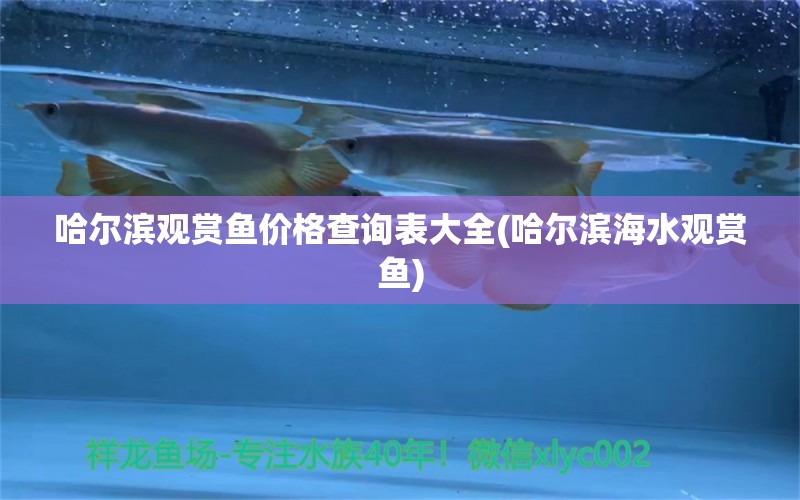 哈爾濱觀賞魚價格查詢表大全(哈爾濱海水觀賞魚) 魚缸等水族設備