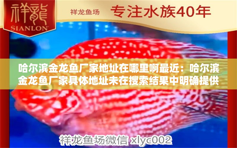 哈爾濱金龍魚廠家地址在哪里啊最近：哈爾濱金龍魚廠家具體地址未在搜索結(jié)果中明確提供 龍魚百科 第1張