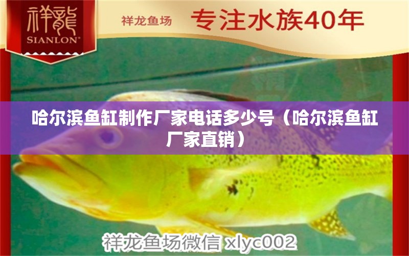 哈爾濱魚缸制作廠家電話多少號（哈爾濱魚缸廠家直銷） 廣州觀賞魚批發(fā)市場