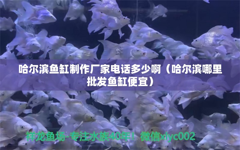 哈爾濱魚缸制作廠家電話多少?。ü枮I哪里批發(fā)魚缸便宜）