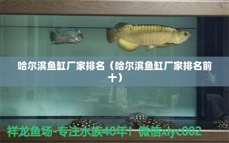 哈爾濱魚(yú)缸廠家排名（哈爾濱魚(yú)缸廠家排名前十） 其他品牌魚(yú)缸