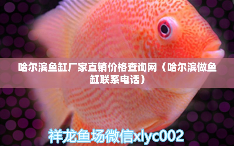 哈爾濱魚缸廠家直銷價格查詢網(wǎng)（哈爾濱做魚缸聯(lián)系電話）