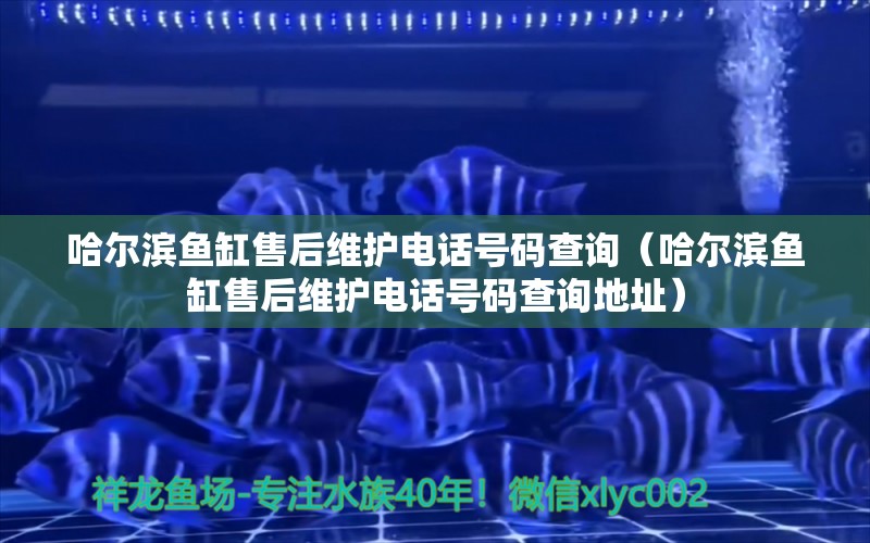 哈爾濱魚缸售后維護電話號碼查詢（哈爾濱魚缸售后維護電話號碼查詢地址） 其他品牌魚缸