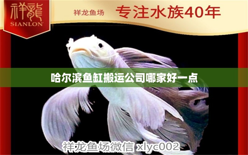 哈爾濱魚缸搬運公司哪家好一點 水族問答 第1張