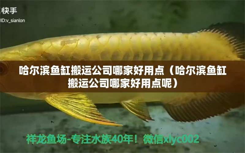 哈爾濱魚缸搬運(yùn)公司哪家好用點(diǎn)（哈爾濱魚缸搬運(yùn)公司哪家好用點(diǎn)呢）