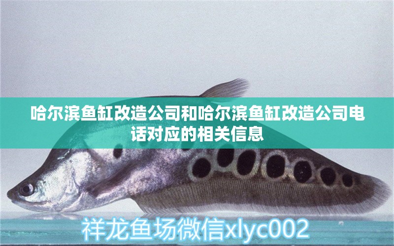 哈爾濱魚(yú)缸改造公司和哈爾濱魚(yú)缸改造公司電話對(duì)應(yīng)的相關(guān)信息