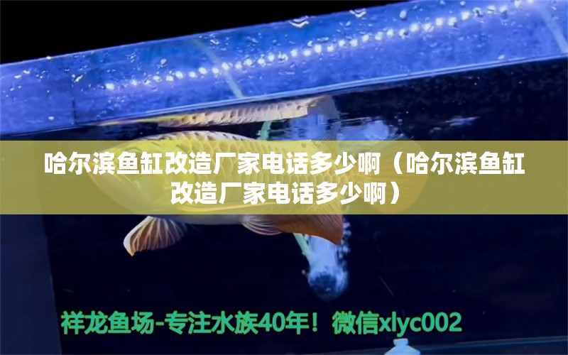 哈爾濱魚缸改造廠家電話多少?。ü枮I魚缸改造廠家電話多少?。? title=