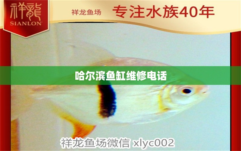 哈爾濱魚缸維修電話 其他品牌魚缸