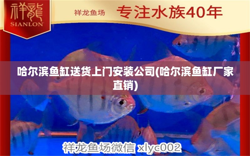 哈爾濱魚缸送貨上門安裝公司(哈爾濱魚缸廠家直銷) 黑云魚