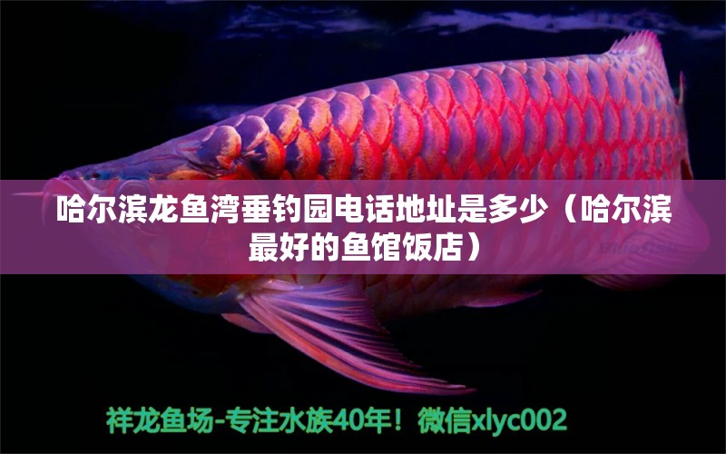 哈爾濱龍魚灣垂釣園電話地址是多少（哈爾濱最好的魚館飯店） 垂釣樂園