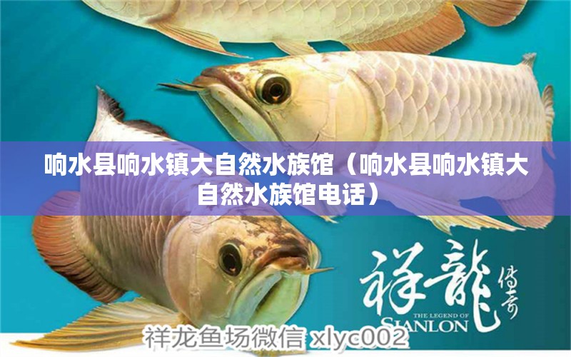 響水縣響水鎮(zhèn)大自然水族館（響水縣響水鎮(zhèn)大自然水族館電話） 全國水族館企業(yè)名錄