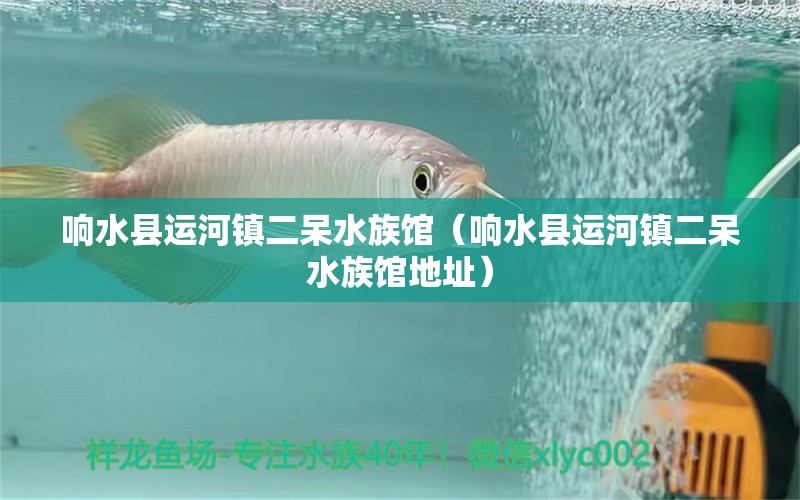 響水縣運河鎮(zhèn)二呆水族館（響水縣運河鎮(zhèn)二呆水族館地址） 全國水族館企業(yè)名錄