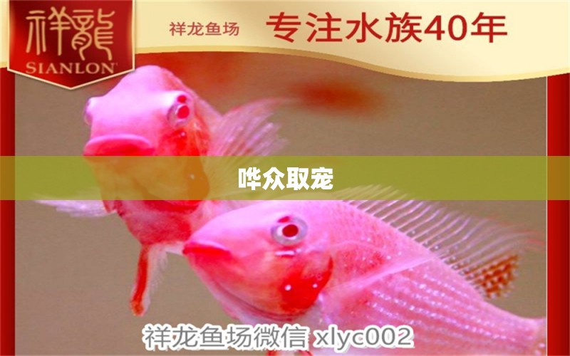 嘩眾取寵 申古三間魚