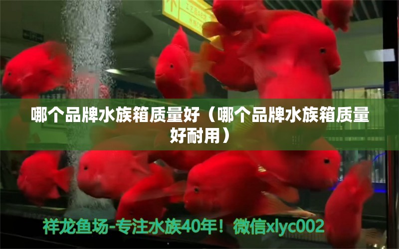 哪個品牌水族箱質(zhì)量好（哪個品牌水族箱質(zhì)量好耐用）