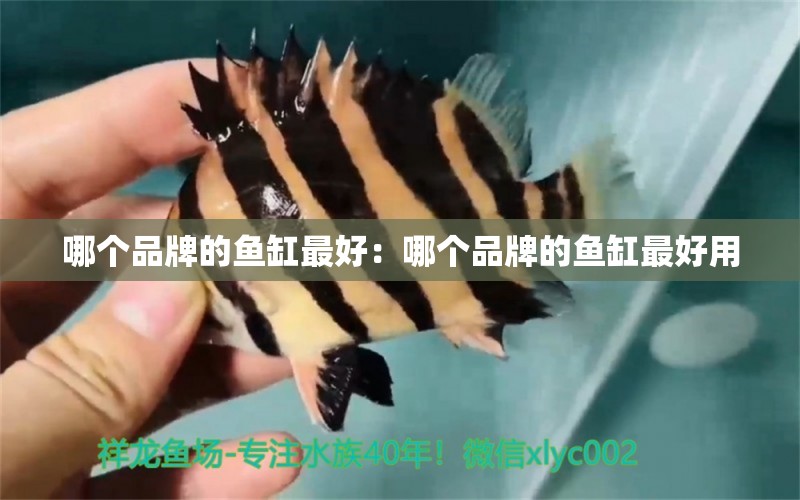 哪個品牌的魚缸最好：哪個品牌的魚缸最好用 水族維護服務（上門）