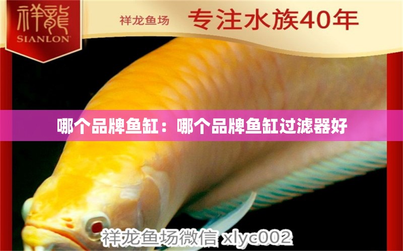 哪個品牌魚缸：哪個品牌魚缸過濾器好 廣州龍魚批發(fā)市場