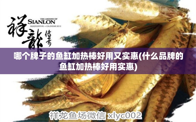 哪個牌子的魚缸加熱棒好用又實惠(什么品牌的魚缸加熱棒好用實惠) 大正錦鯉魚