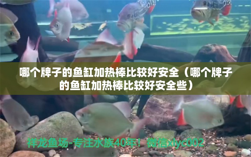 哪個牌子的魚缸加熱棒比較好安全（哪個牌子的魚缸加熱棒比較好安全些） 祥龍水族醫(yī)院