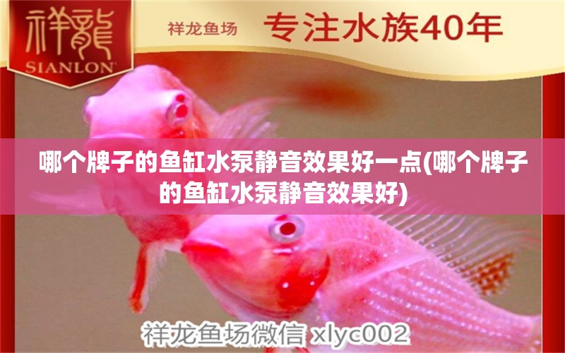 哪個牌子的魚缸水泵靜音效果好一點(哪個牌子的魚缸水泵靜音效果好)