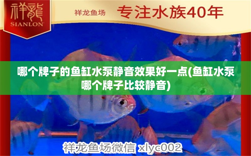 哪個牌子的魚缸水泵靜音效果好一點(魚缸水泵哪個牌子比較靜音)