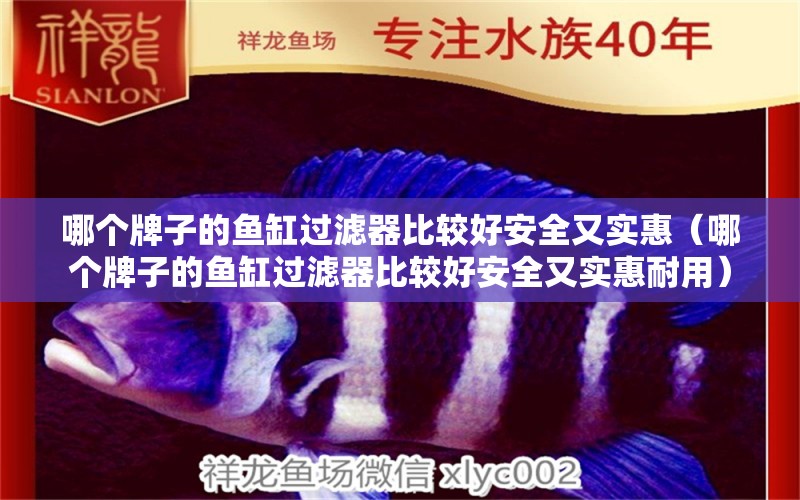 哪個牌子的魚缸過濾器比較好安全又實惠（哪個牌子的魚缸過濾器比較好安全又實惠耐用） 虎魚百科