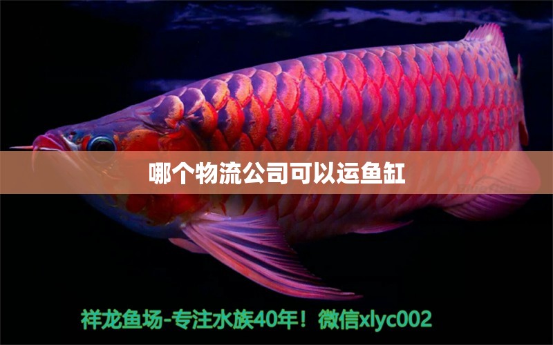 哪個物流公司可以運魚缸