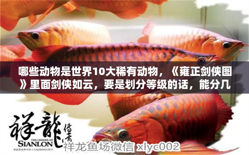 哪些動物是世界10大稀有動物，《雍正劍俠圖》里面劍俠如云，要是劃分等級的話，能分幾個級別