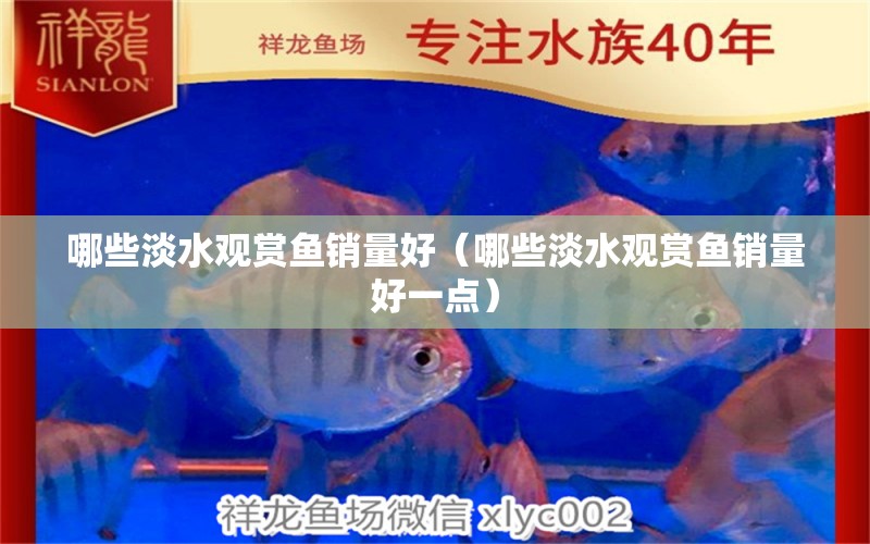 哪些淡水觀賞魚銷量好（哪些淡水觀賞魚銷量好一點） 祥龍水族醫(yī)院