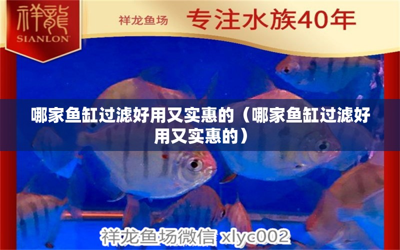 哪家魚缸過濾好用又實惠的（哪家魚缸過濾好用又實惠的） 祥龍水族醫(yī)院