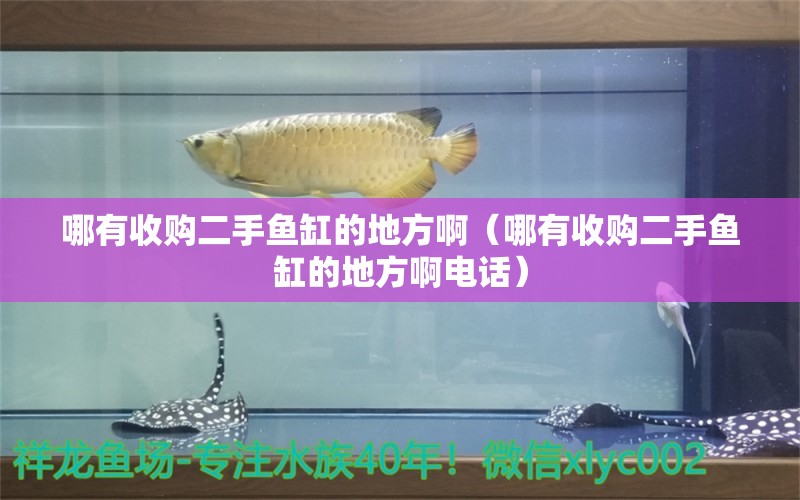 哪有收購(gòu)二手魚(yú)缸的地方?。挠惺召?gòu)二手魚(yú)缸的地方啊電話）