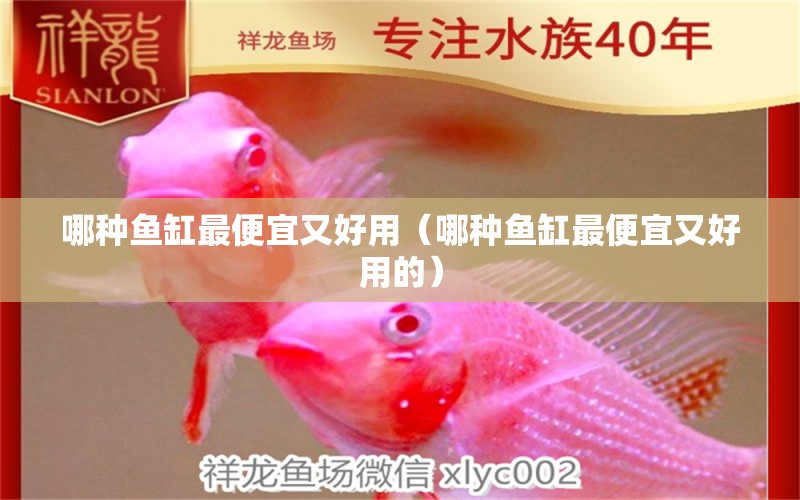 哪種魚缸最便宜又好用（哪種魚缸最便宜又好用的） 觀賞魚市場（混養(yǎng)魚）