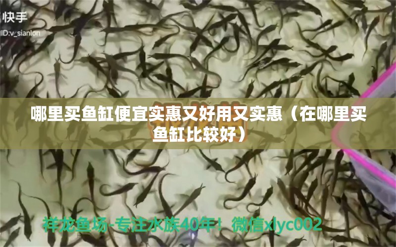 哪里買魚缸便宜實惠又好用又實惠（在哪里買魚缸比較好）