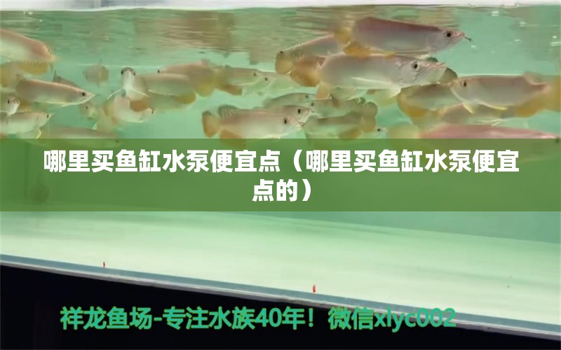 哪里買魚缸水泵便宜點（哪里買魚缸水泵便宜點的） 魚缸水泵