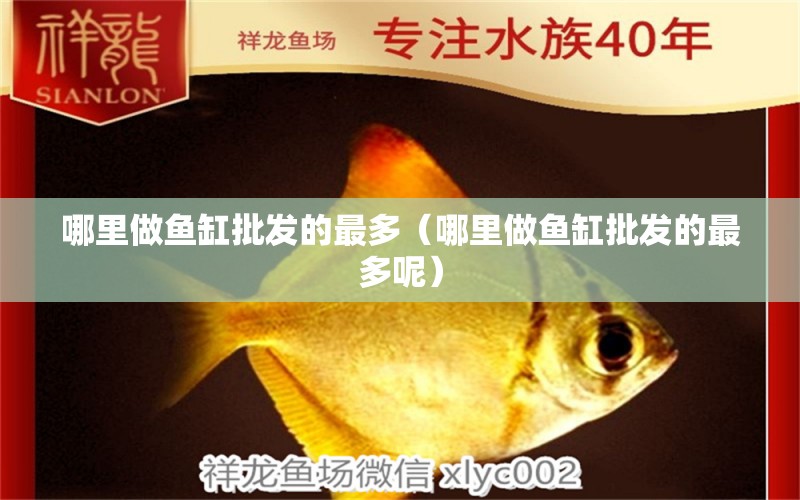 哪里做魚缸批發(fā)的最多（哪里做魚缸批發(fā)的最多呢）