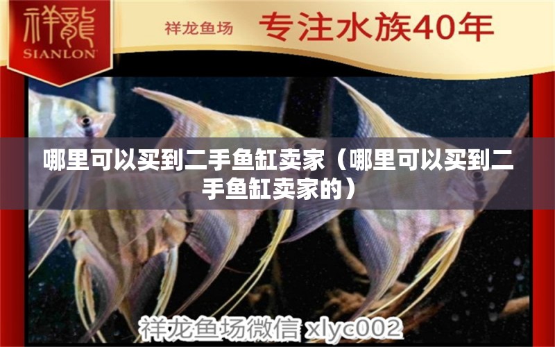 哪里可以買(mǎi)到二手魚(yú)缸賣(mài)家（哪里可以買(mǎi)到二手魚(yú)缸賣(mài)家的）