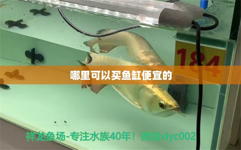 哪里可以買魚缸便宜的 水族問答 第1張