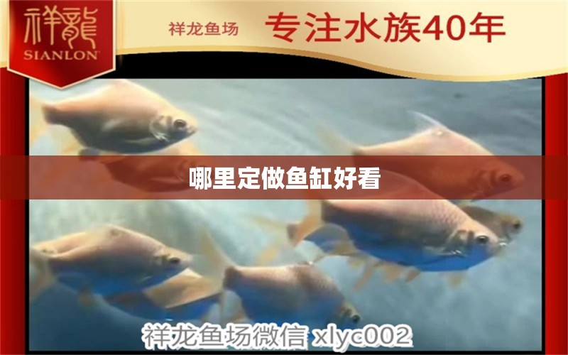 哪里定做魚缸好看