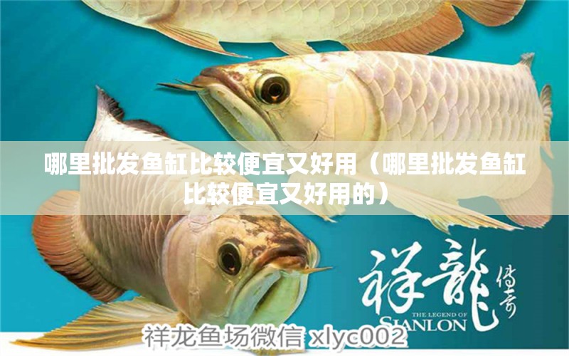 哪里批發(fā)魚缸比較便宜又好用（哪里批發(fā)魚缸比較便宜又好用的） 觀賞魚市場（混養(yǎng)魚）