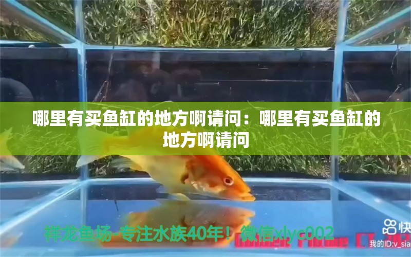 哪里有買魚缸的地方啊請問：哪里有買魚缸的地方啊請問 觀賞魚市場（混養(yǎng)魚）