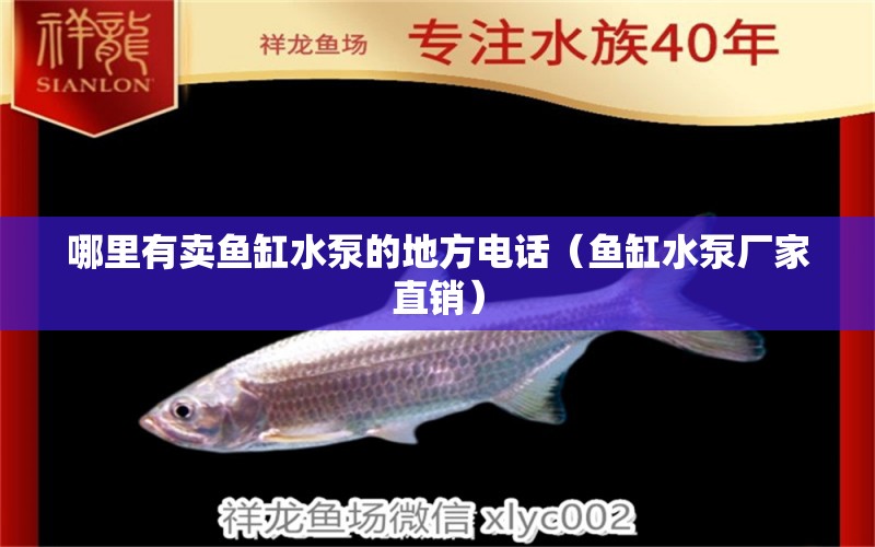 哪里有賣魚缸水泵的地方電話（魚缸水泵廠家直銷） 翡翠鳳凰魚