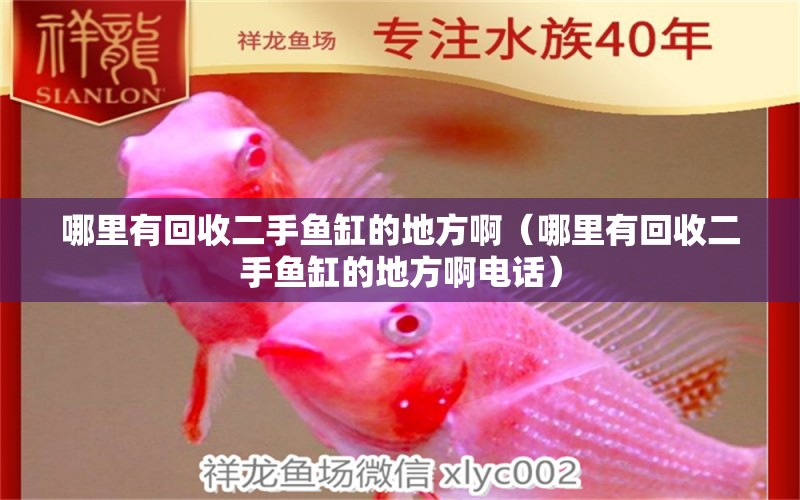 哪里有回收二手魚缸的地方啊（哪里有回收二手魚缸的地方啊電話） 觀賞魚市場(chǎng)（混養(yǎng)魚）