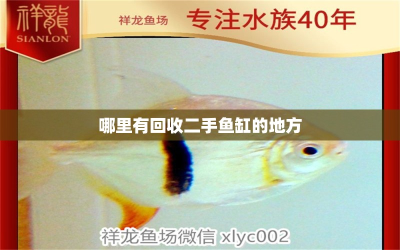 哪里有回收二手魚缸的地方