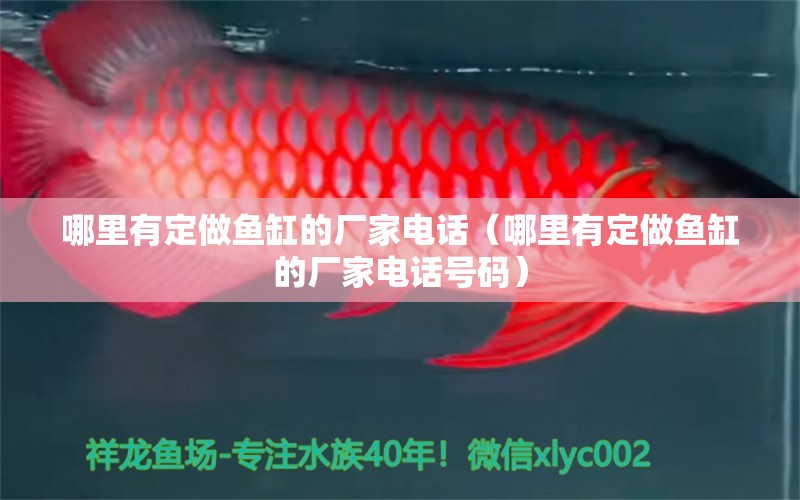 哪里有定做魚缸的廠家電話（哪里有定做魚缸的廠家電話號(hào)碼）