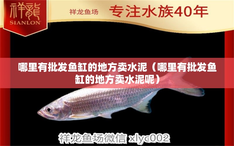 哪里有批發(fā)魚缸的地方賣水泥（哪里有批發(fā)魚缸的地方賣水泥呢）