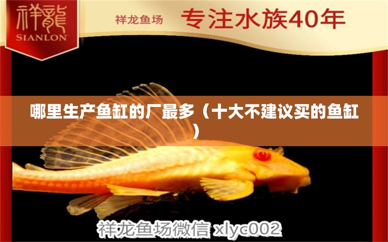 哪里生產(chǎn)魚缸的廠最多（十大不建議買的魚缸） 其他品牌魚缸