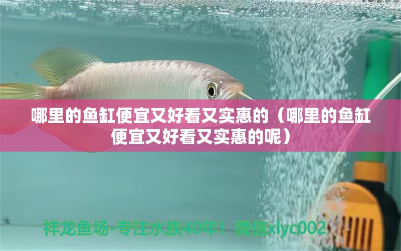 哪里的魚缸便宜又好看又實(shí)惠的（哪里的魚缸便宜又好看又實(shí)惠的呢） 量子養(yǎng)魚技術(shù)